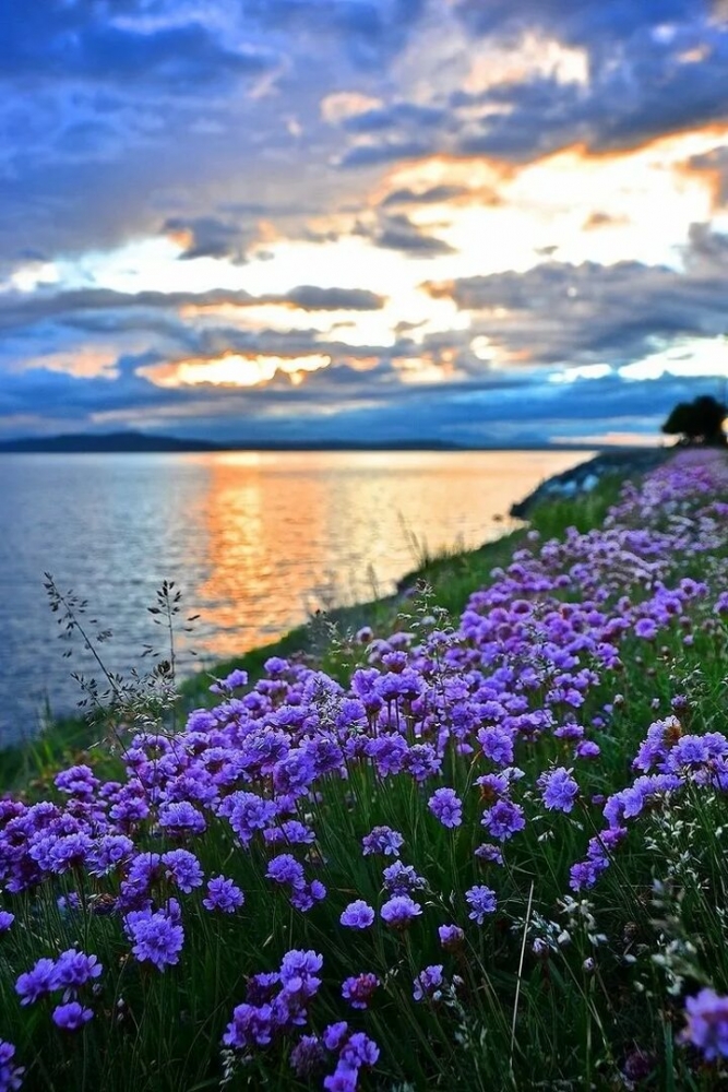 Открытки Лето-прекрасная пора, фото 15 Открытки Лето-прекрасная пора, фото 15