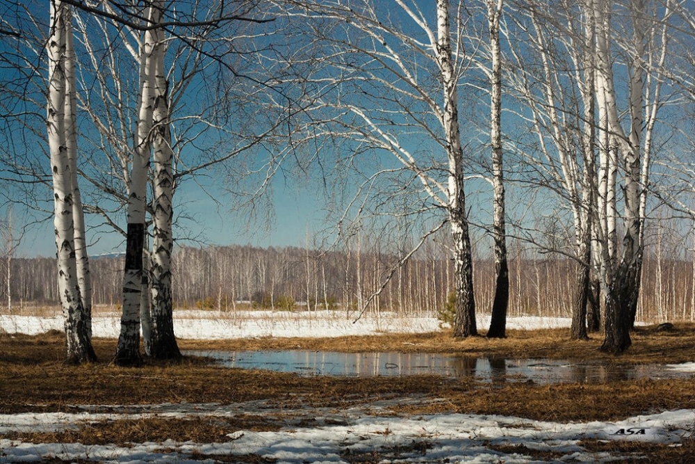 Фото русской весны