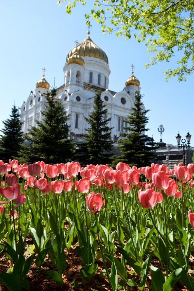 Московская весна