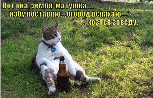 Прикольные картинки, Позитив на весь день!, фото 7