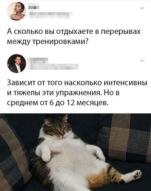 Смешные картинки. , фото 11
