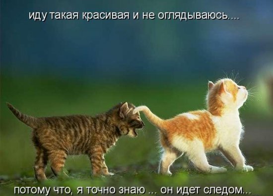 Прикольные картинки, Позитив на весь день!, фото 8