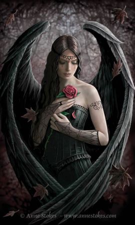 Картинки - обои на телефон., фото 14 Картинки - обои на телефон., фото 14