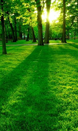 Картинки - обои на телефон., фото 15 Картинки - обои на телефон., фото 15