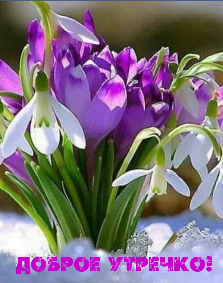 Время года Весна, фото 4