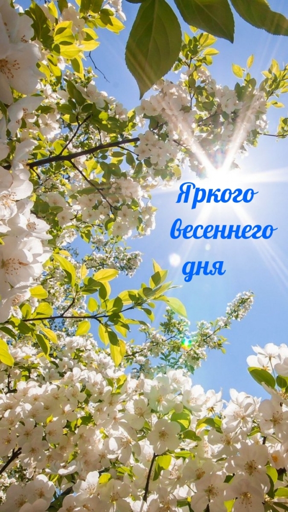 Время года Весна, фото 14