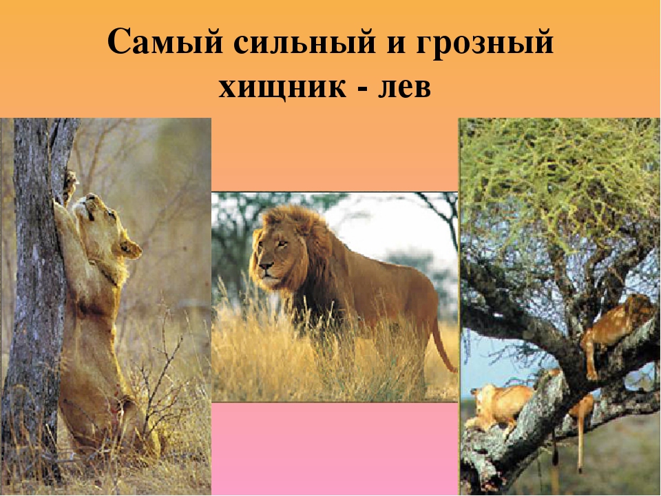 Анекдоты для вас!, фото 2