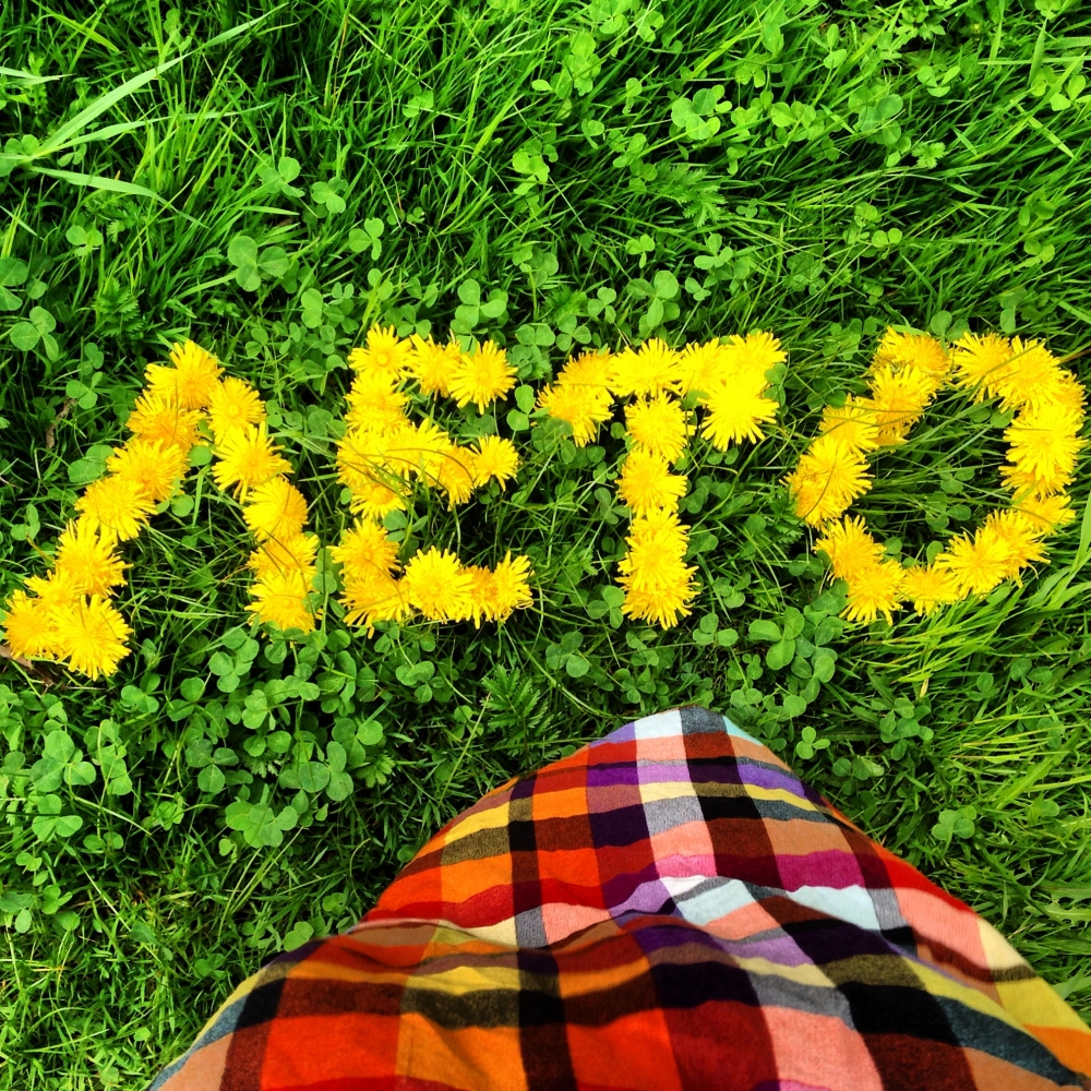 Открытки Лето-прекрасная пора, фото 23 Открытки Лето-прекрасная пора, фото 23