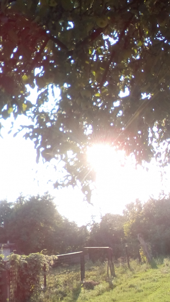 В одном маленьком Городе..., фото 5 В одном маленьком Городе..., фото 5