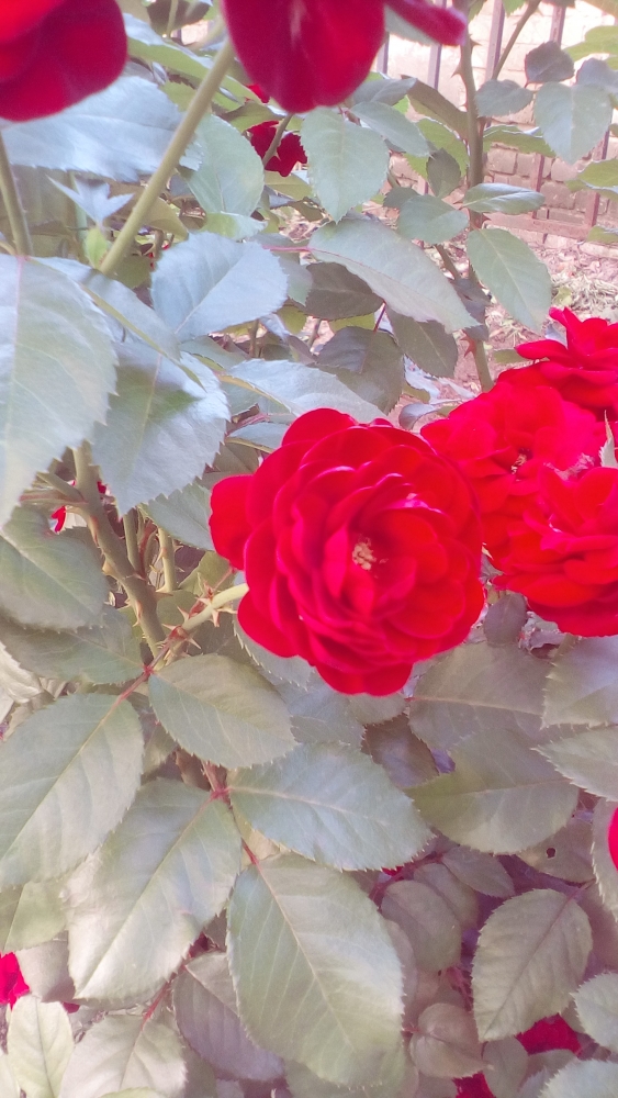 В одном маленьком Городе..., фото 9 В одном маленьком Городе..., фото 9