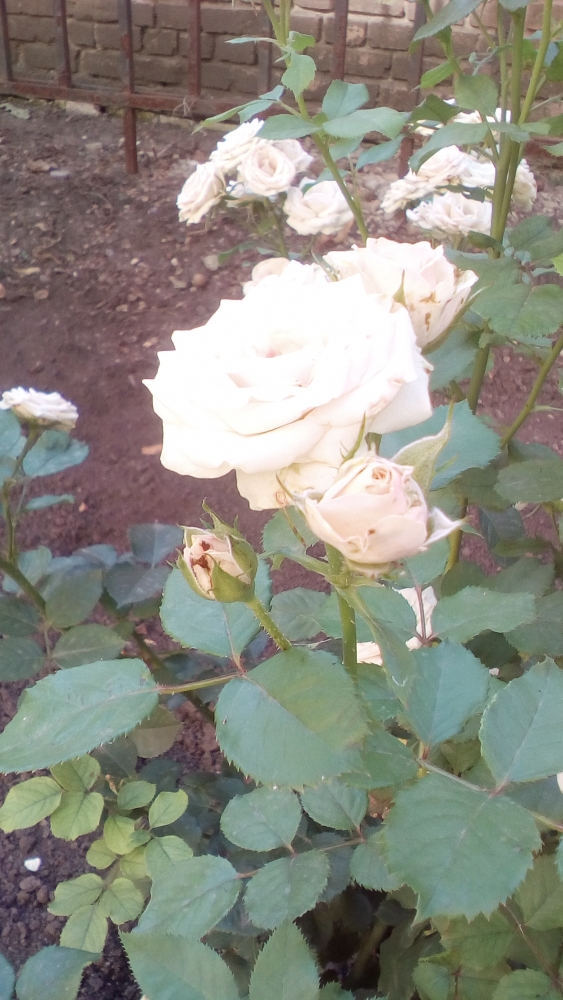 В одном маленьком Городе..., фото 7 В одном маленьком Городе..., фото 7