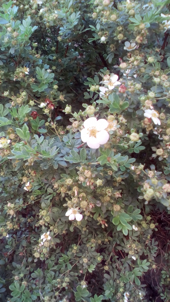 В одном маленьком Городе..., фото 8 В одном маленьком Городе..., фото 8