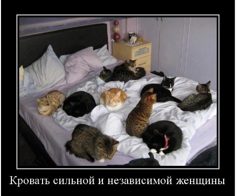 Смешные демотиваторы для поднятия настроения