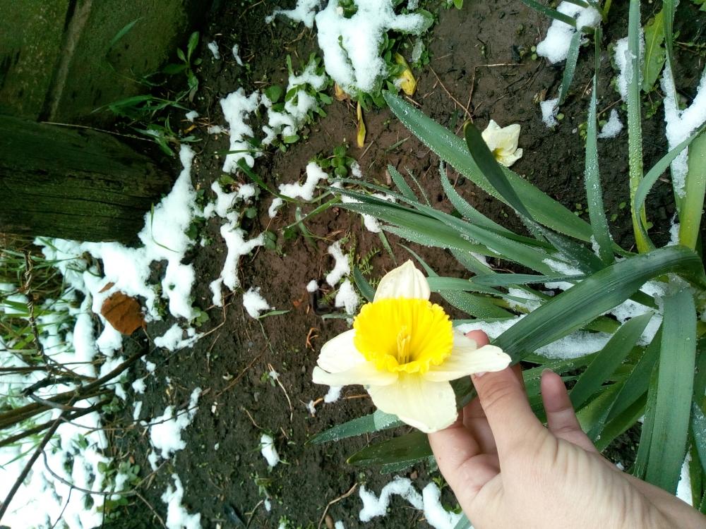 Открытка к празднику 8 марта, фото 21 Открытка к празднику 8 марта, фото 21