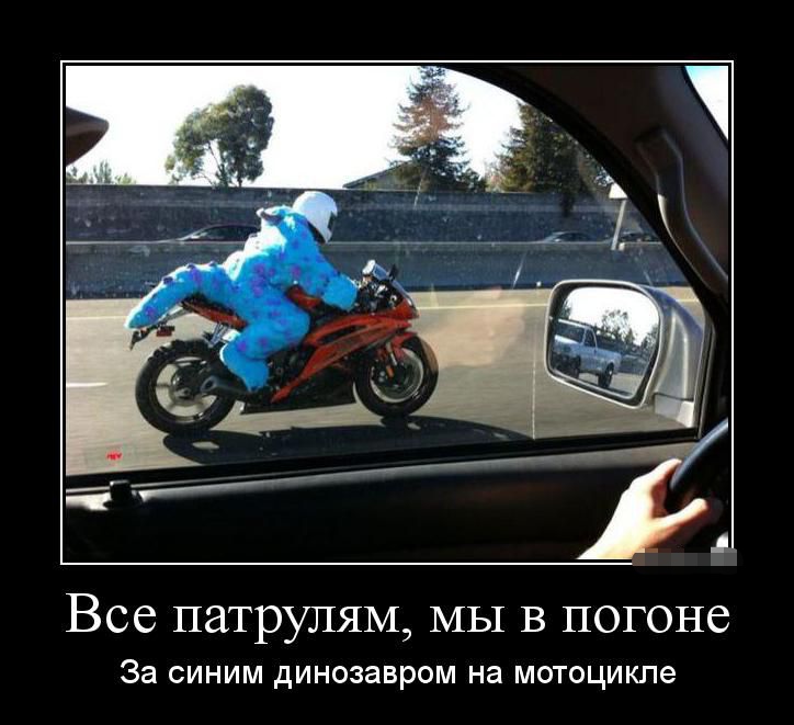 Смотрим Мото Демотиваторы, фото 19 Смотрим Мото Демотиваторы, фото 19