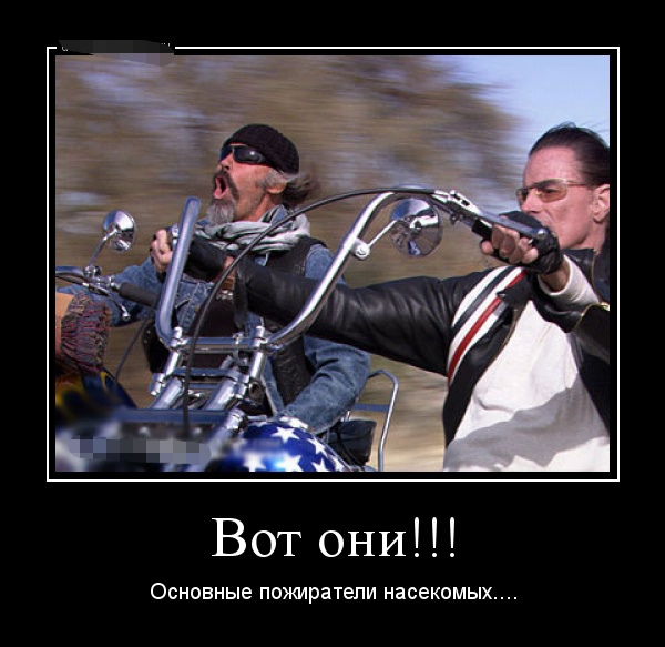 Смотрим Мото Демотиваторы, фото 13 Смотрим Мото Демотиваторы, фото 13