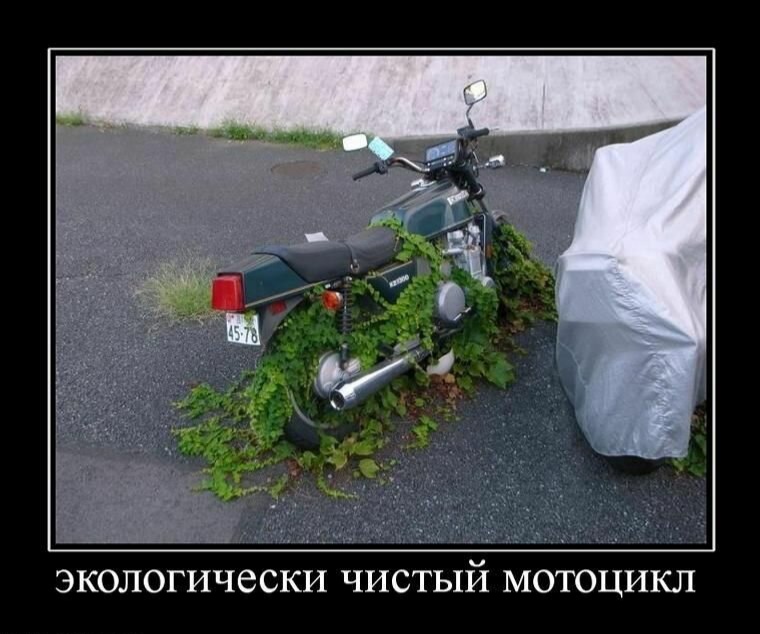 Смотрим Мото Демотиваторы, фото 12 Смотрим Мото Демотиваторы, фото 12