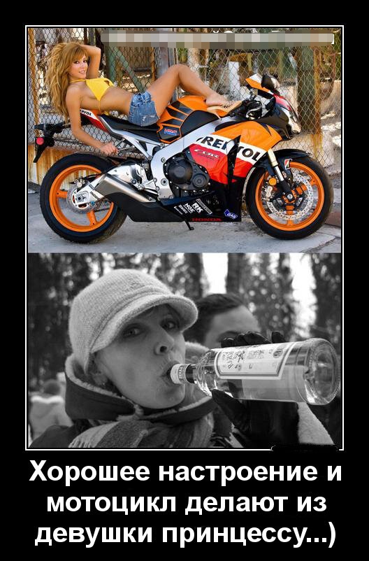 Смотрим Мото Демотиваторы, фото 5 Смотрим Мото Демотиваторы, фото 5