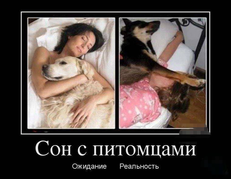 Ожидание & реальность , фото 9 Ожидание & реальность , фото 9