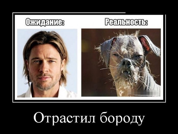 Ожидание & реальность , фото 8 Ожидание & реальность , фото 8