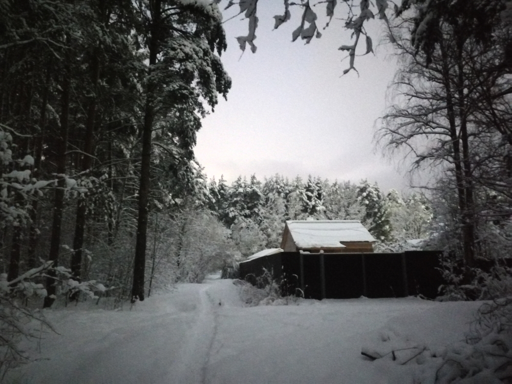 Настроение: снег с дождём, снегопад. Красота вокруг! 29 го марта 2023г. , фото 2 Настроение: снег с дождём, снегопад. Красота вокруг! 29 го марта 2023г. , фото 2
