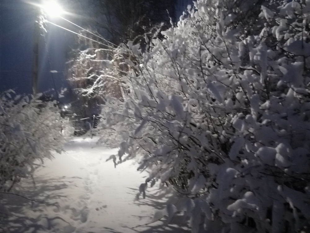 Настроение: снег с дождём, снегопад. Красота вокруг! 29 го марта 2023г. , фото 4 Настроение: снег с дождём, снегопад. Красота вокруг! 29 го марта 2023г. , фото 4
