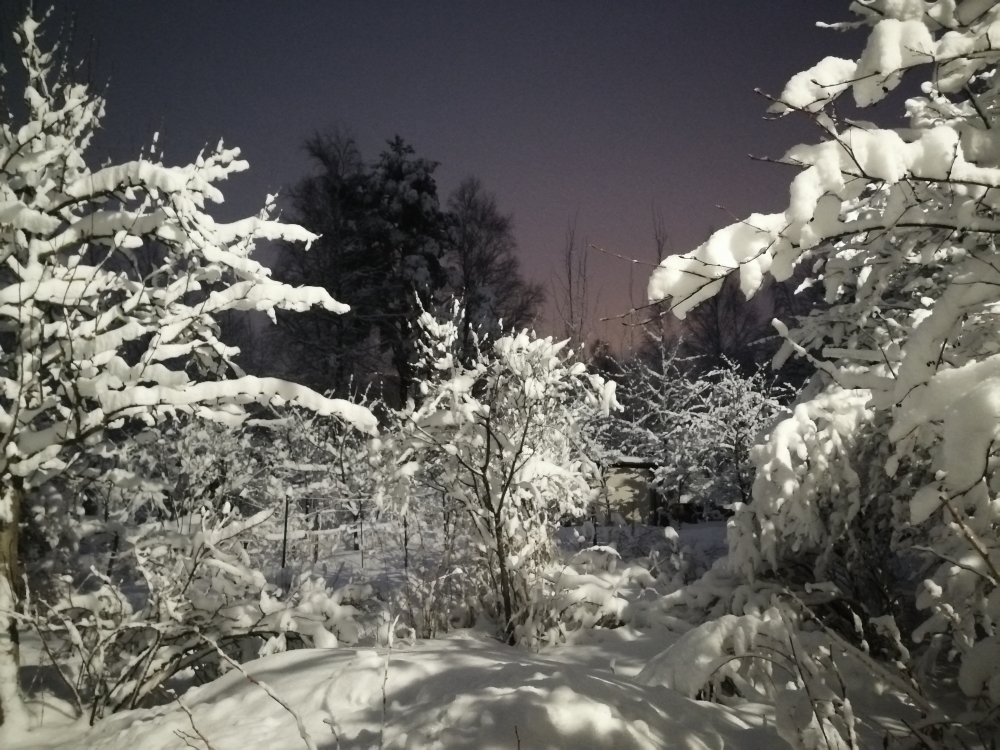 Настроение: снег с дождём, снегопад. Красота вокруг! 29 го марта 2023г. , фото 3 Настроение: снег с дождём, снегопад. Красота вокруг! 29 го марта 2023г. , фото 3