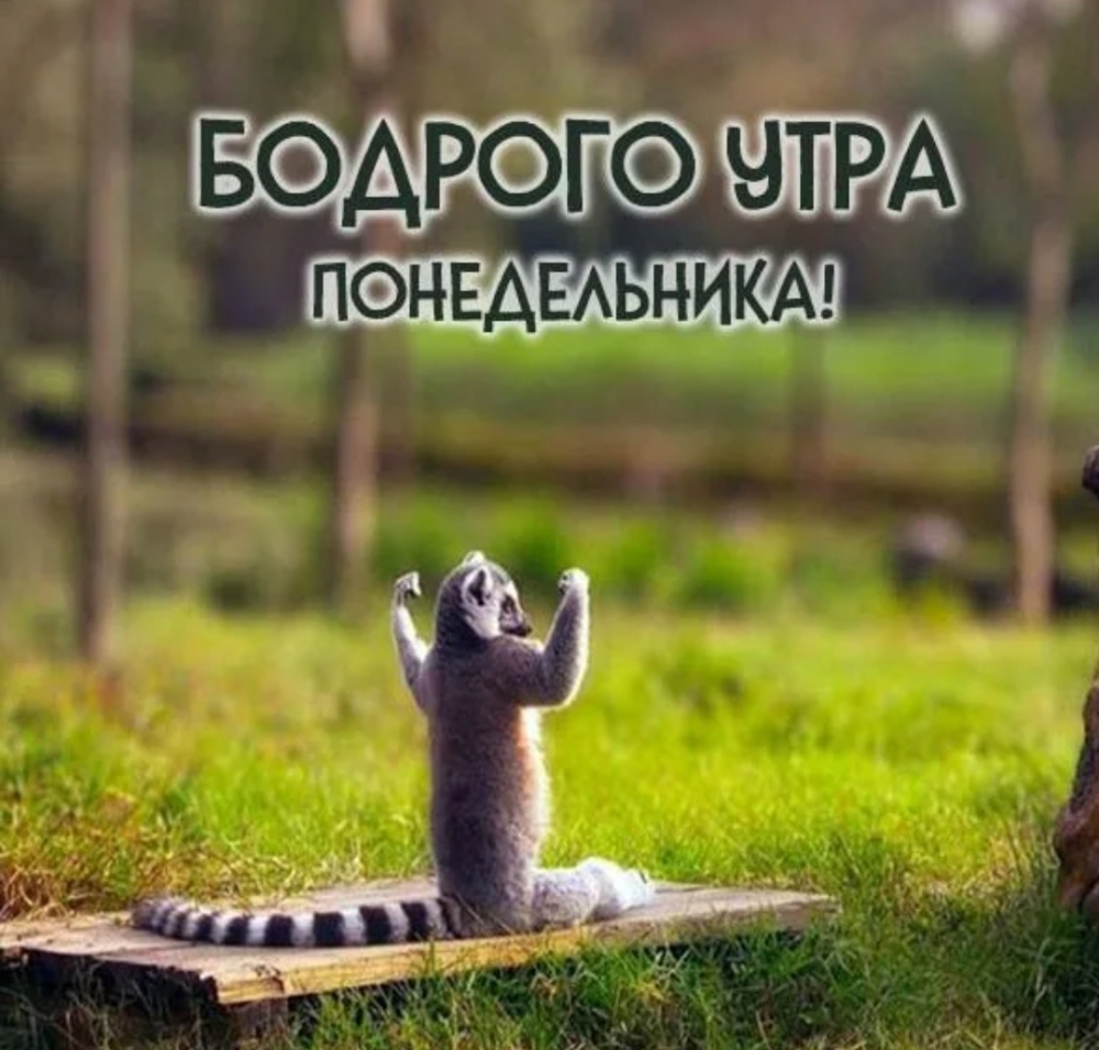Такой понедельник... 
