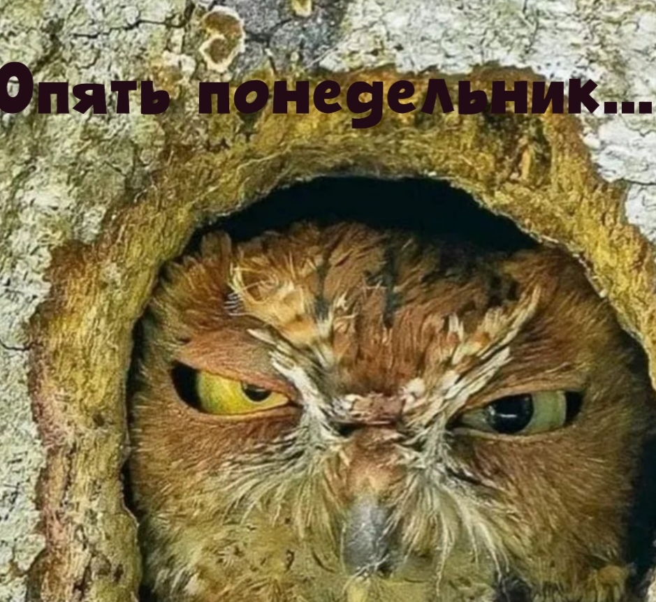 И снова он наступил... 