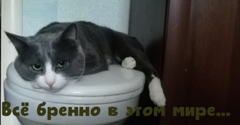 Точка отсчёта 