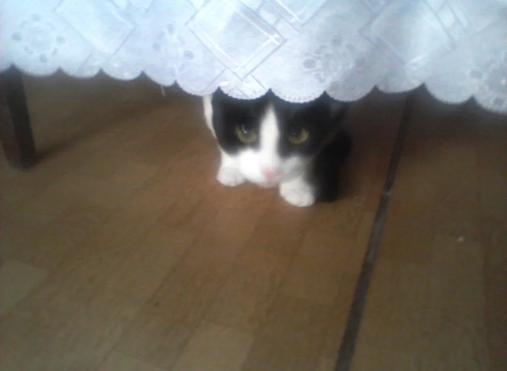 Понедельник, которого нет... 