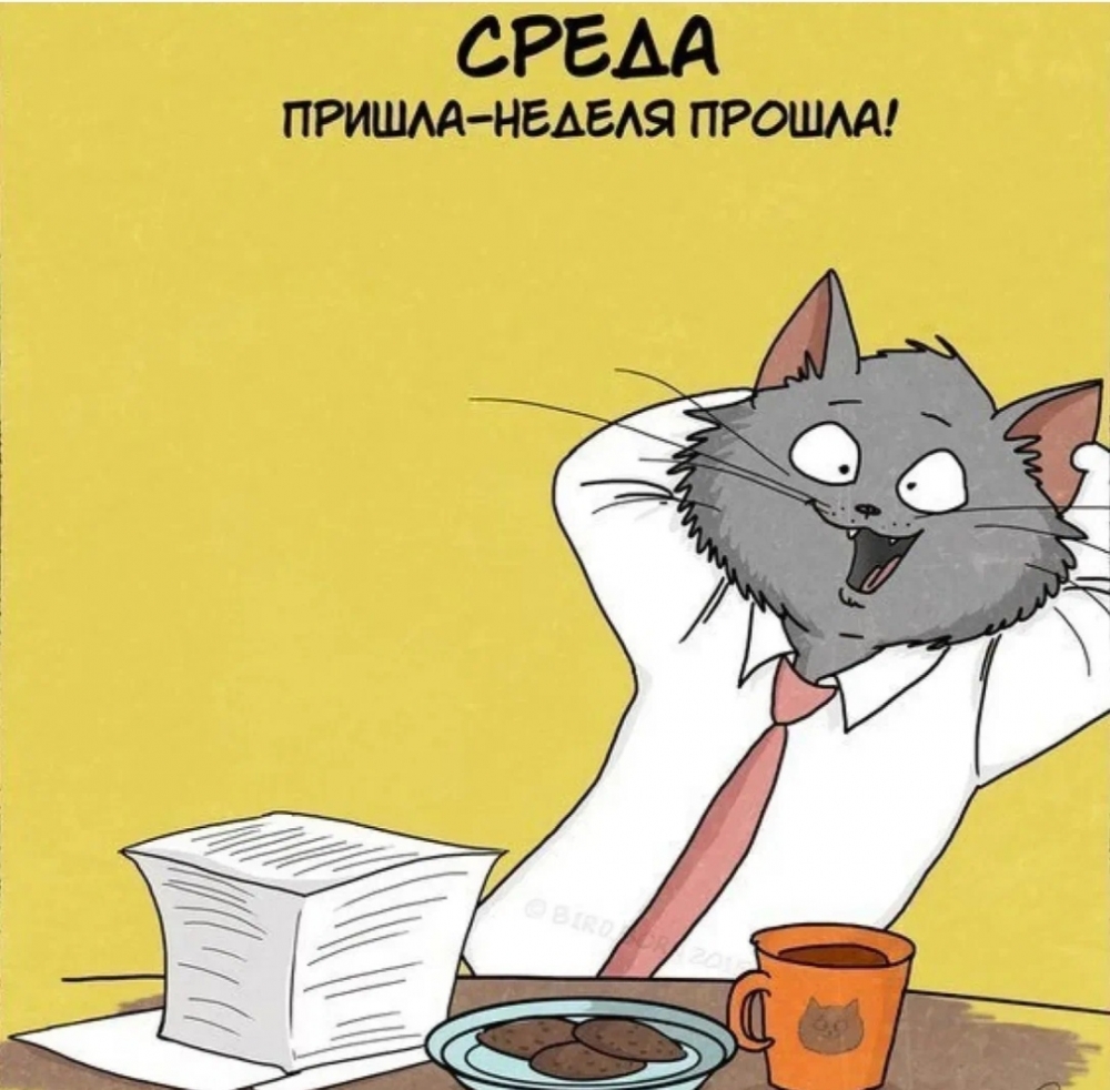 Среда не всё, но кое-что... 