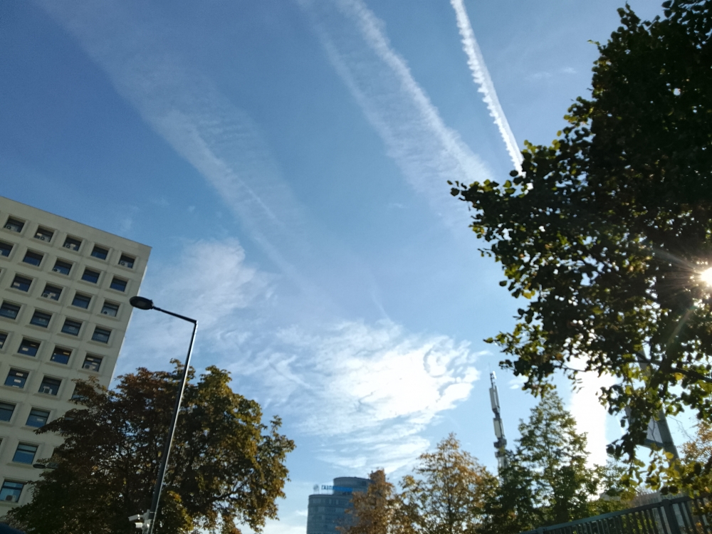 Последние деньки... , фото 2 Последние деньки... , фото 2