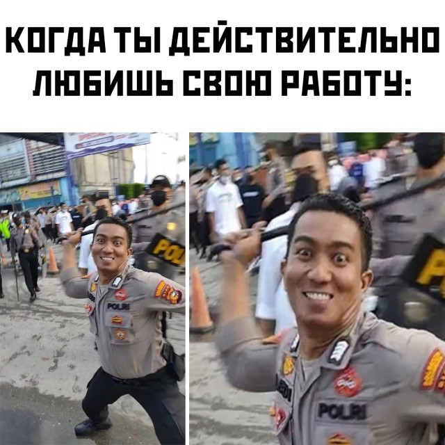 Смешные и познавательные картинки., фото 3