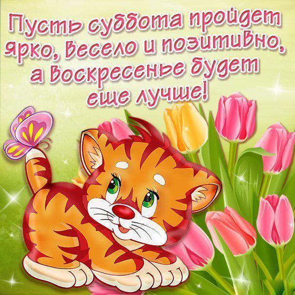 Красивые открытки и картинки c пожеланиями!, фото 10 Красивые открытки и картинки c пожеланиями!, фото 10