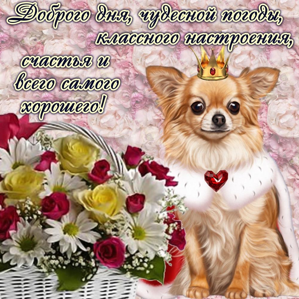 Открытки с пожеланиями для друзей и подругам, фото 17