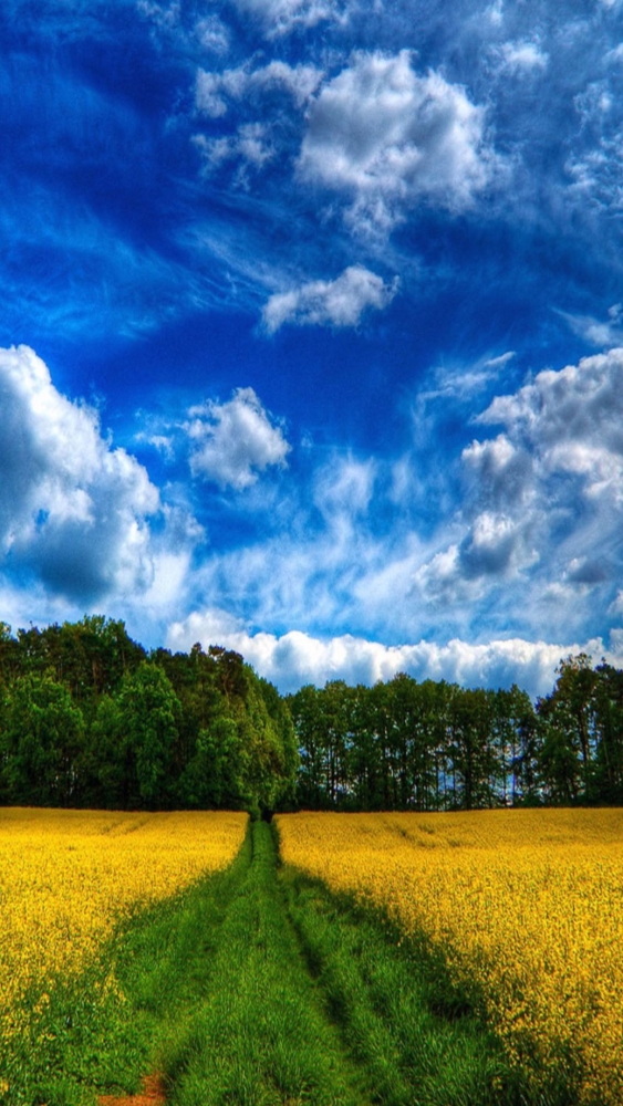 Открытки Лето-прекрасная пора, фото 10 Открытки Лето-прекрасная пора, фото 10