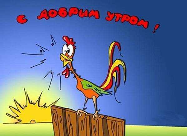 Открытки с пожеланиями доброго утра для всех и в том числе. для любимых, фото 16 Открытки с пожеланиями доброго утра для всех и в том числе. для любимых, фото 16
