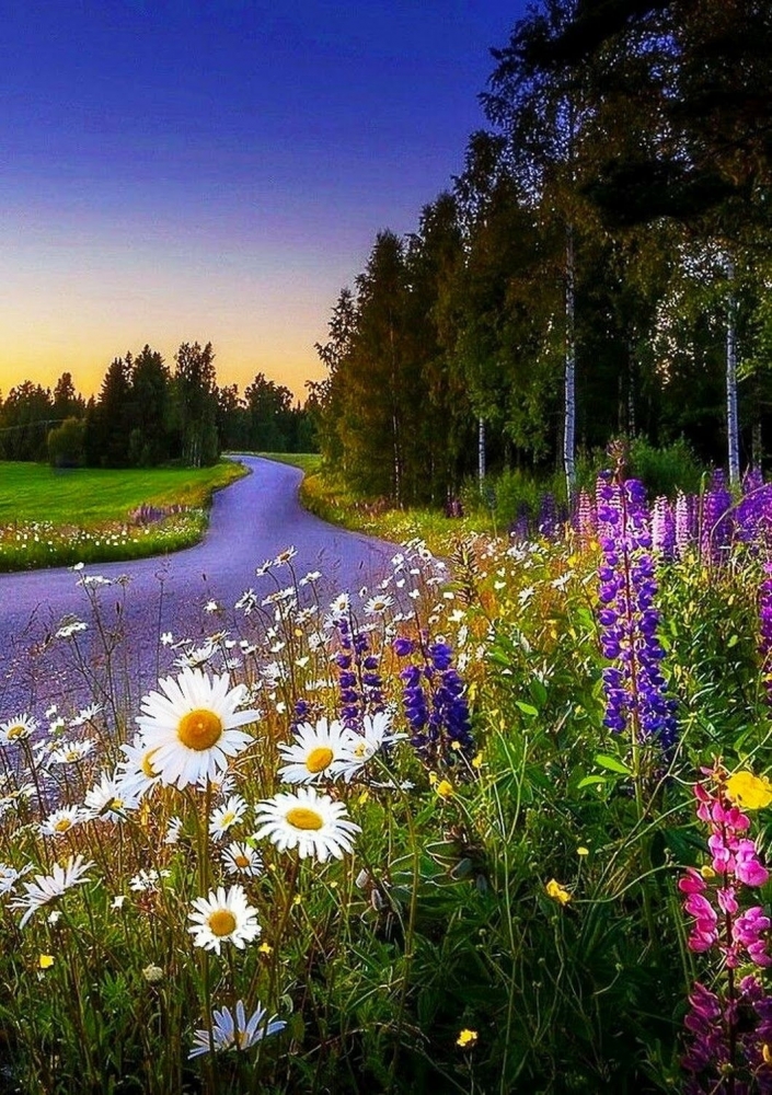 Открытки Лето-прекрасная пора, фото 19 Открытки Лето-прекрасная пора, фото 19