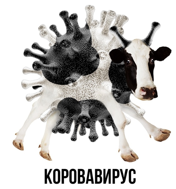 Коронавирус приколы, подборка смешных картинок, фото 23 Коронавирус приколы, подборка смешных картинок, фото 23