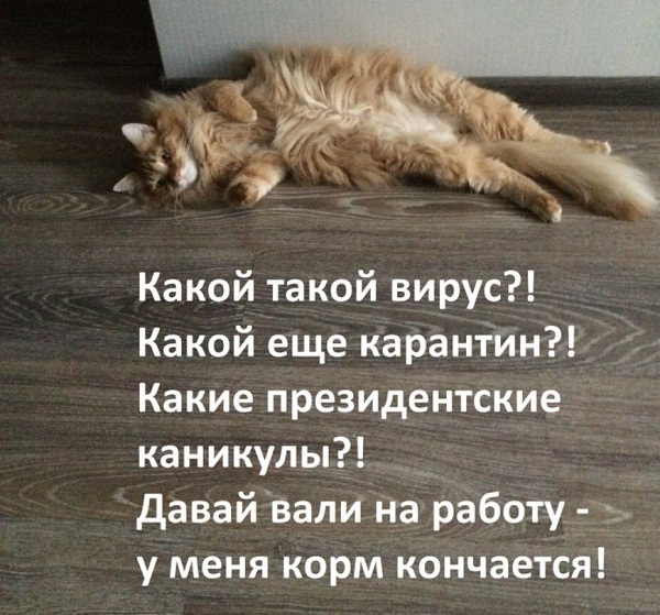 Приколы в картинка про коронавирус, фото 17