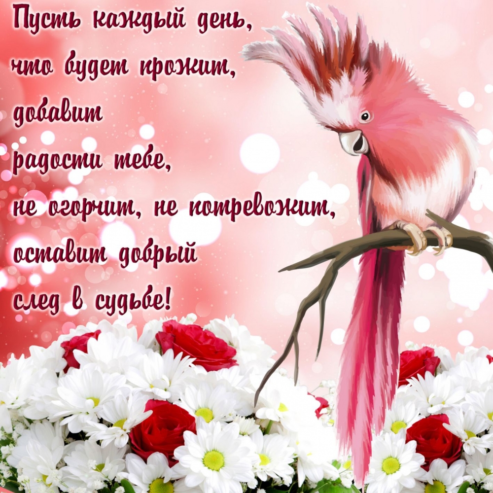 Красивые открытки и картинки c пожеланиями!, фото 14 Красивые открытки и картинки c пожеланиями!, фото 14