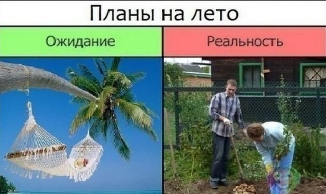 Ожидание и реальность, фото 28 Ожидание и реальность, фото 28