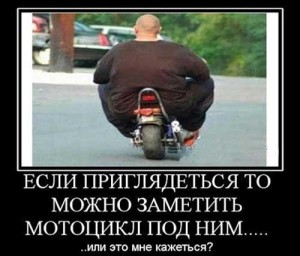 Неожиданный поворот - Позитив в картинках и не только., фото 24 Неожиданный поворот - Позитив в картинках и не только., фото 24