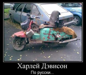 Неожиданный поворот - Позитив в картинках и не только., фото 23 Неожиданный поворот - Позитив в картинках и не только., фото 23