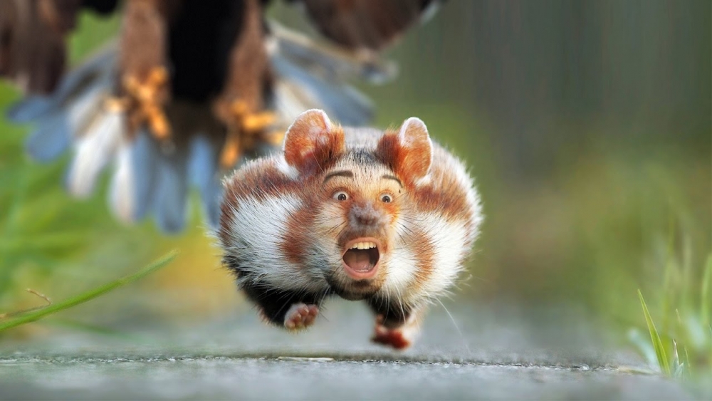 Умора!, фото 2