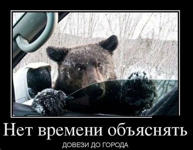 Демотиваторы про мотоциклы, фото 16