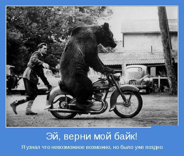 Демотиваторы про мотоциклы, фото 26