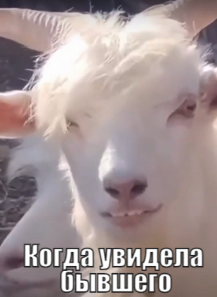 Демотиваторы про Козликофф, фото 4 Демотиваторы про Козликофф, фото 4