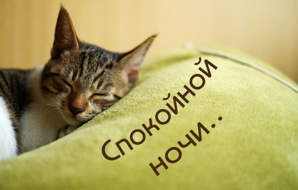 Пожелать друг другу спокойной ночи, фото 14